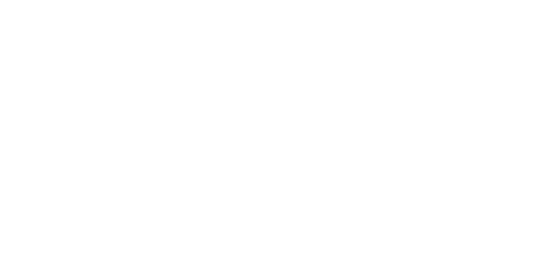 New Zealand Open 2024